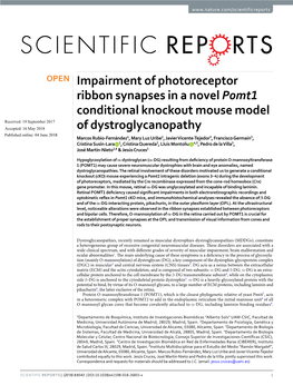 Impairment of Photoreceptor Ribbon Synapses in a Novel Pomt1