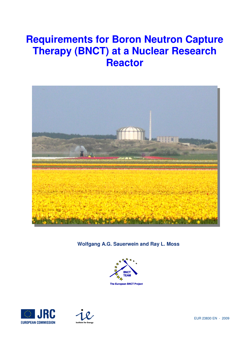 Requirements for Boron Neutron Capture Therapy (BNCT) at a Nuclear Research Reactor Editor(S): W