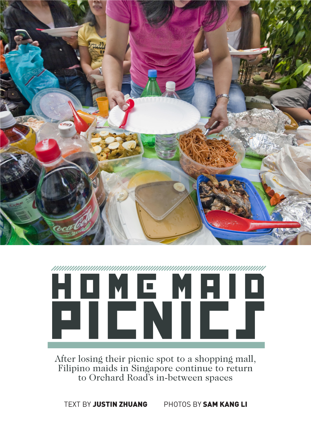 Home Maid Picnics