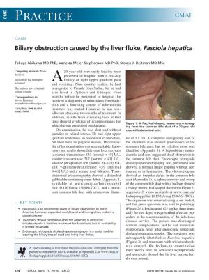 Biliary Obstruction Caused by the Liver Fluke, Fasciola Hepatica