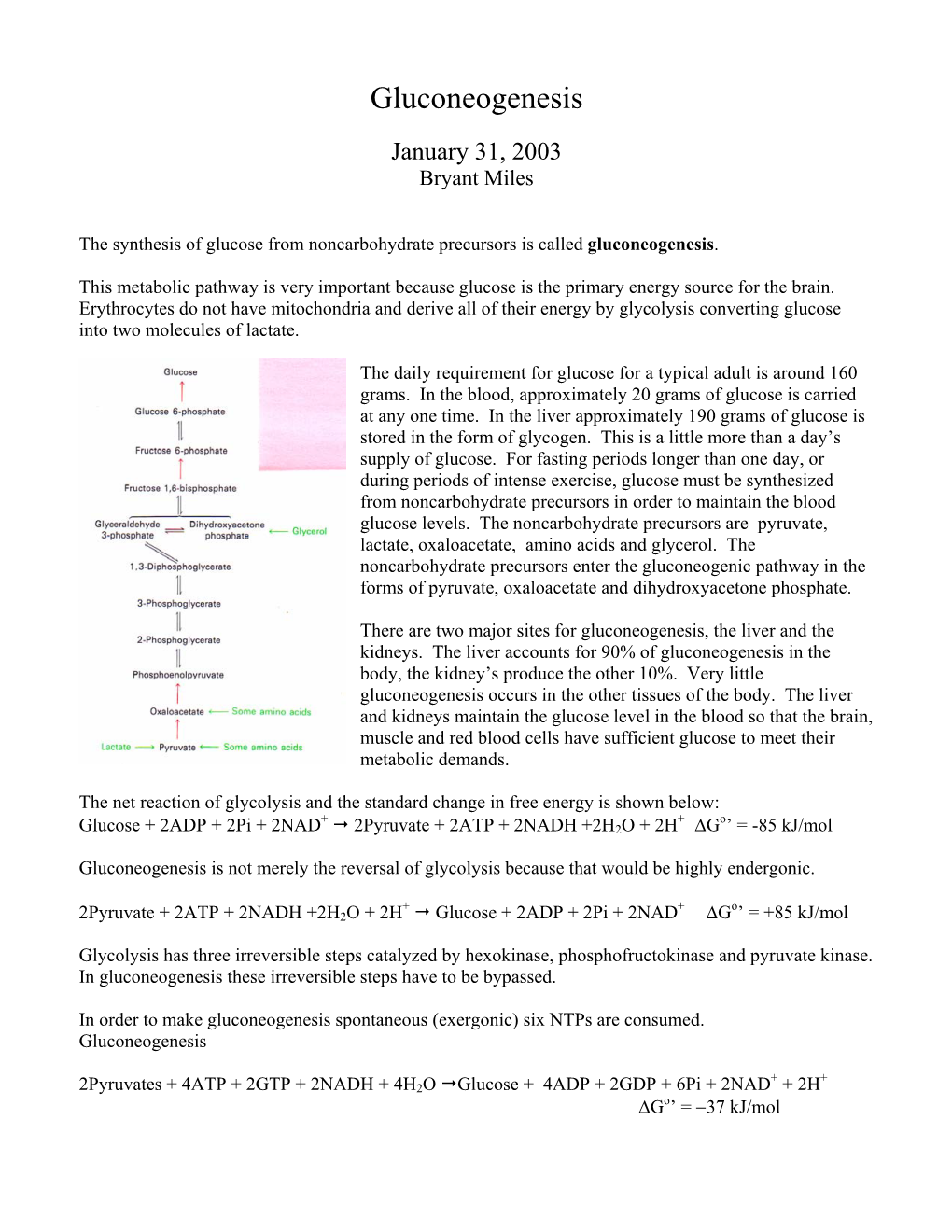 Gluconeogenesis