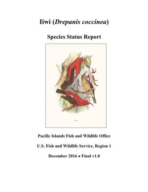 Iiwi (Drepanis Coccinea) Species Status Report