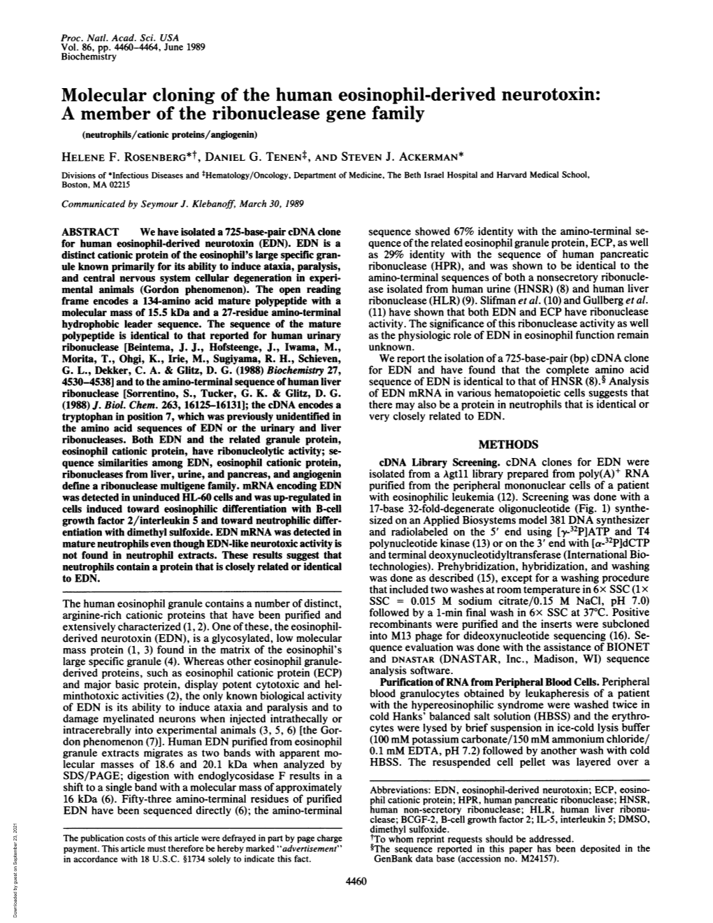 Molecular Cloning of the Human Eosinophil-Derived Neurotoxin: a Member of the Ribonuclease Gene Family (Neutrophils/Cationic Proteins/Angiogenin) HELENE F