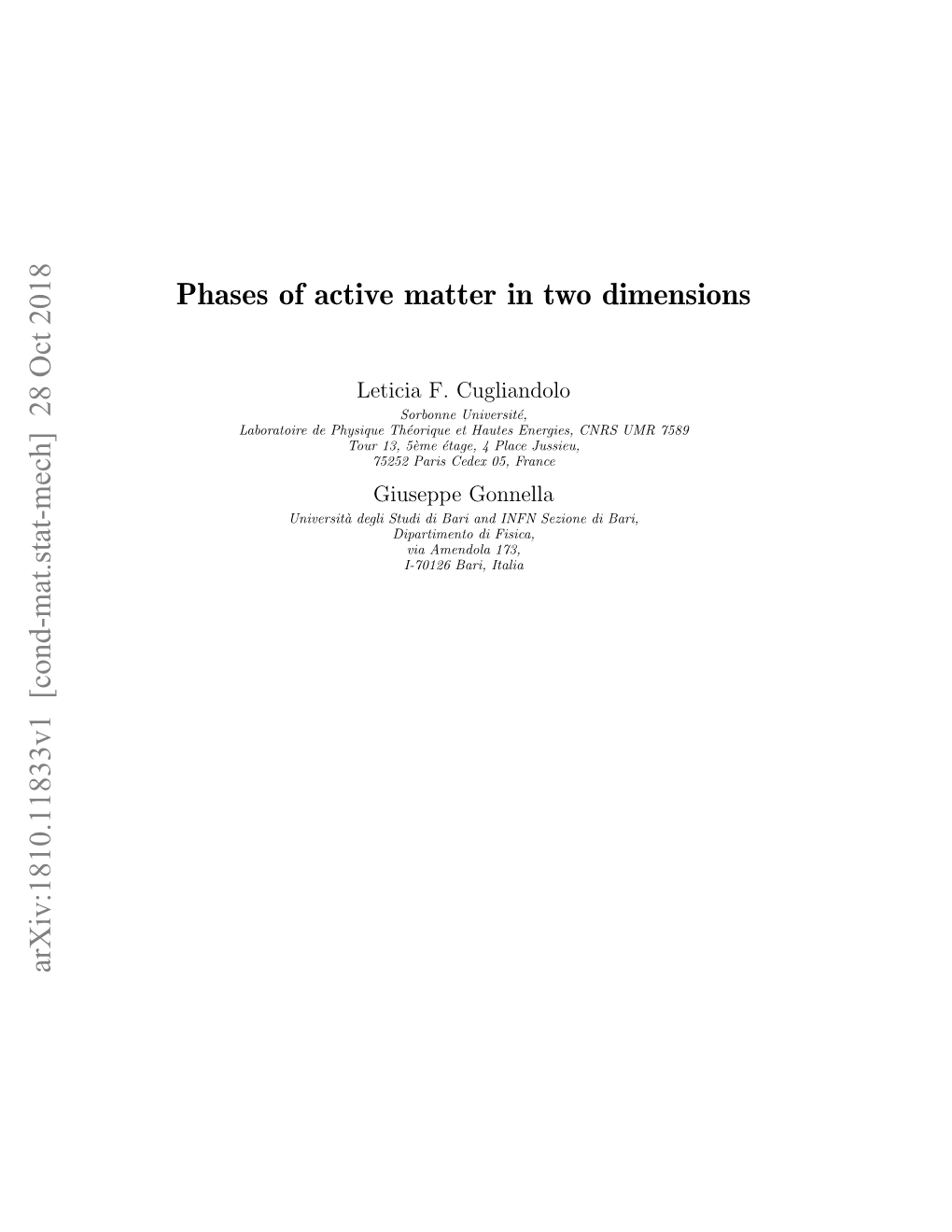 Phases of Active Matter in Two Dimensions
