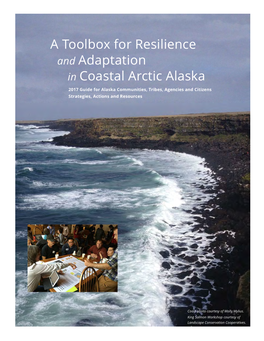 A Toolbox for Resilience and Adaptation in Coastal Arctic Alaska 2017 Guide for Alaska Communities, Tribes, Agencies and Citizens Strategies, Actions and Resources