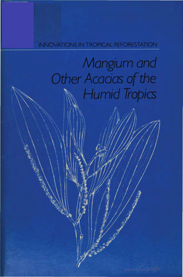 Experience with Mangium in Plantations Is Ushering in a New Resource for the Tropics