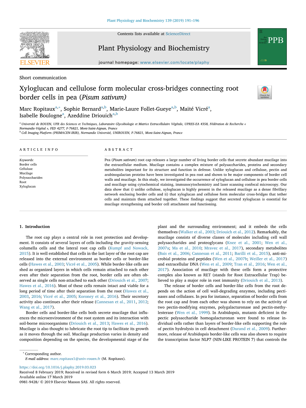 Xyloglucan and Cellulose Form Molecular Cross-Bridges Connecting Root Border Cells in Pea (Pisum Sativum) T