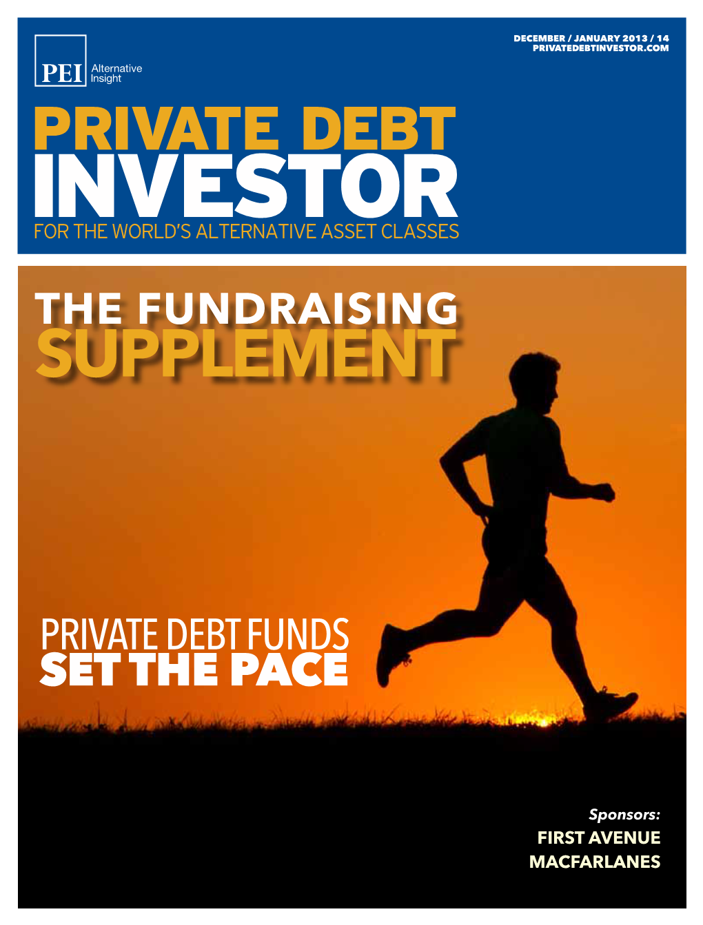 The Fundraising Supplement