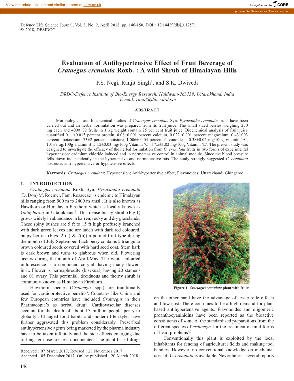 Evaluation of Antihypertensive Effect of Fruit Beverage of Crataegus Crenulata Roxb