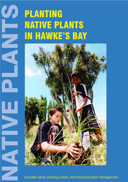 Planting Native Plants in Hawke's