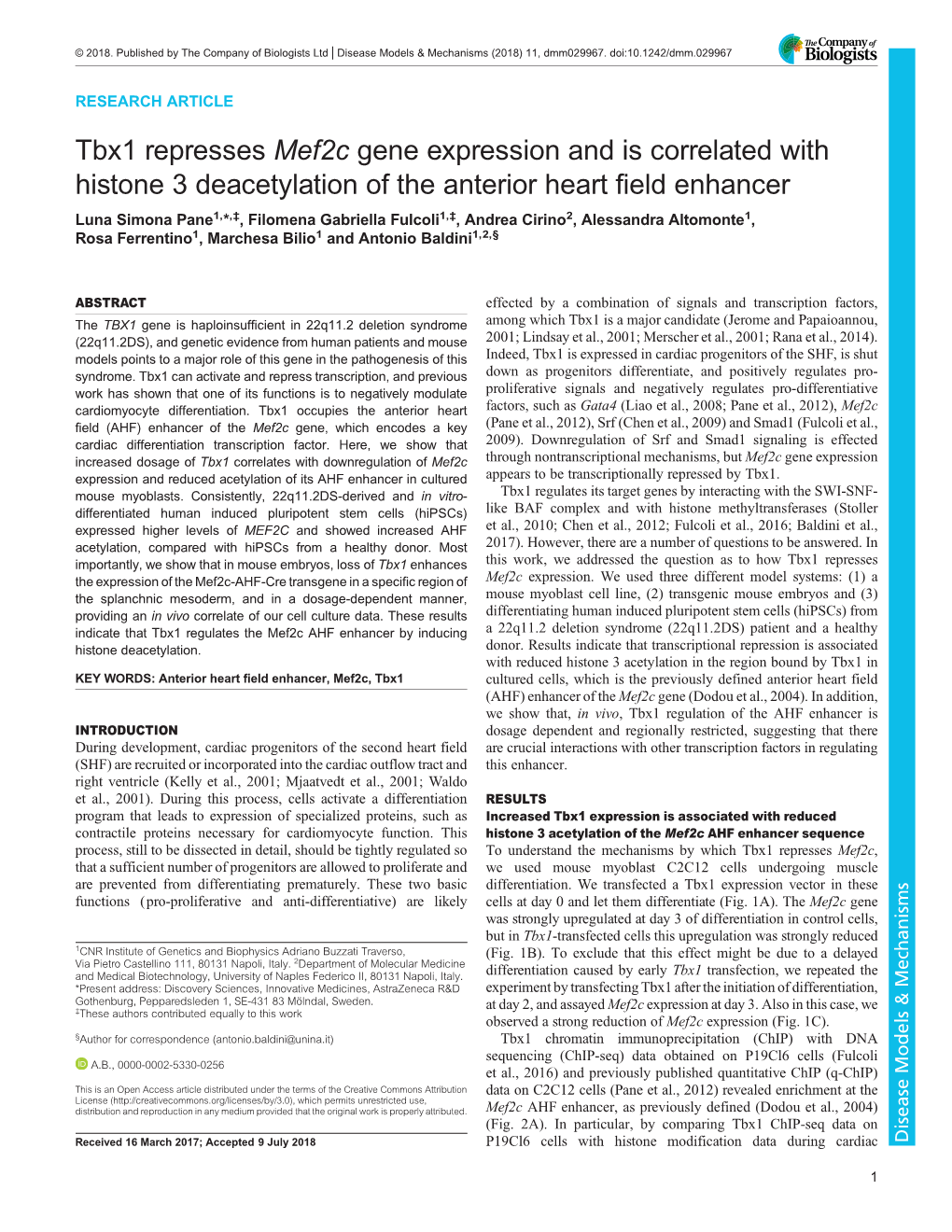 Tbx1 Represses Mef2c Gene Expression and Is Correlated With