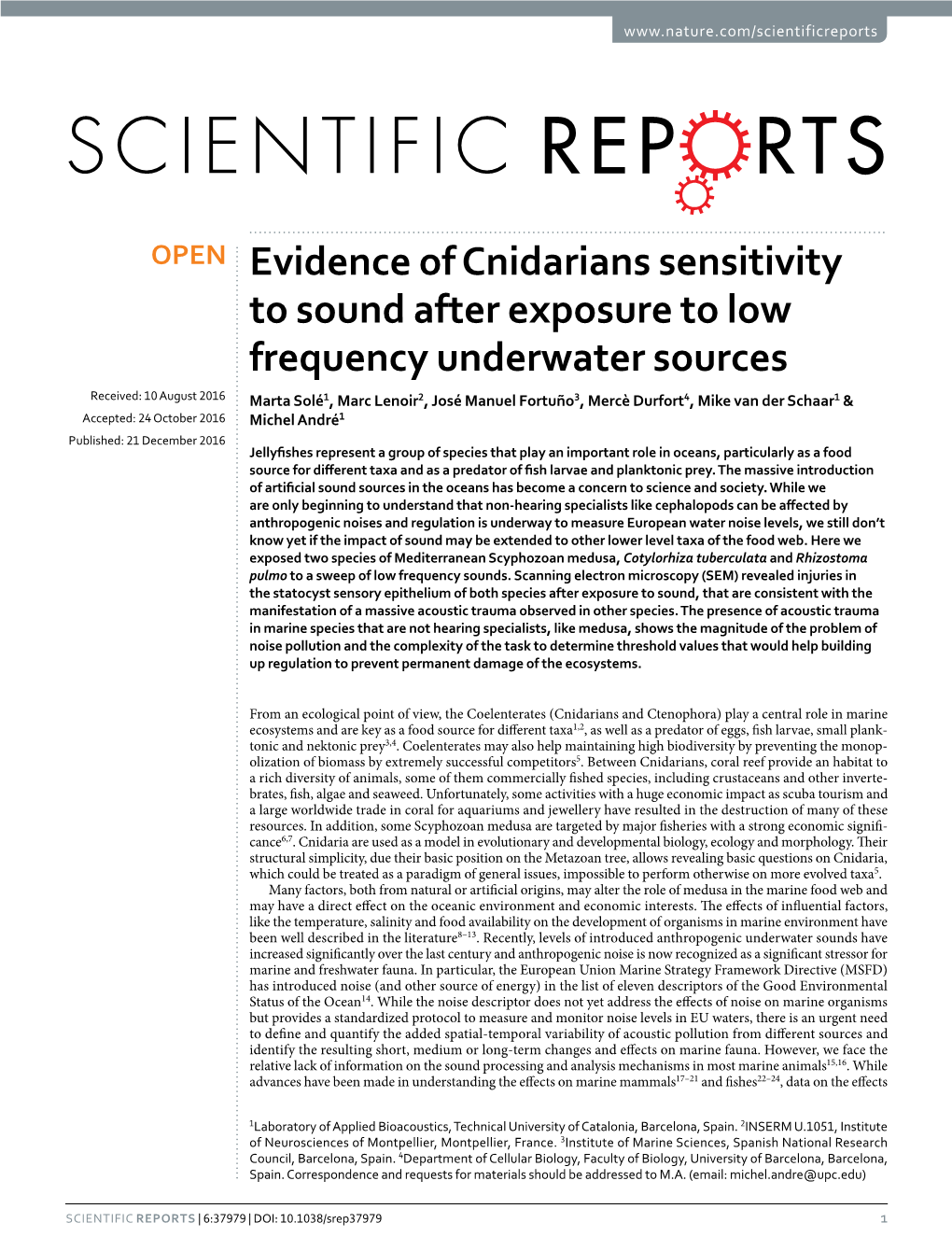 Evidence of Cnidarians Sensitivity to Sound After Exposure to Low