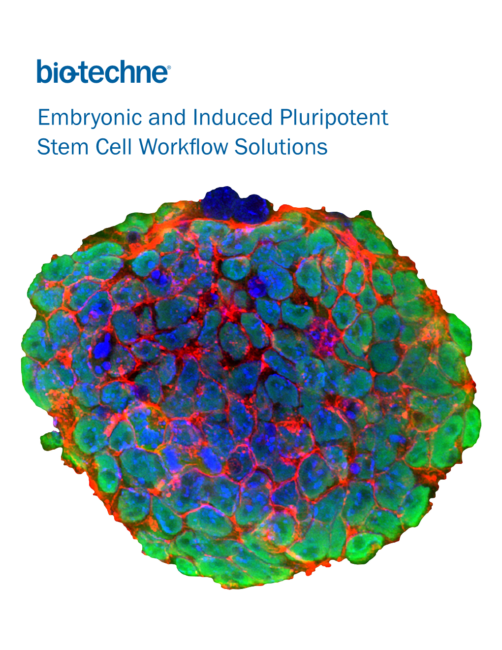Embryonic and Induced Pluripotent Stem Cell Workflow Solutions Isolate and Culture