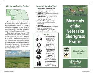 Mammals of the Nebraska Shortgrass Prairie