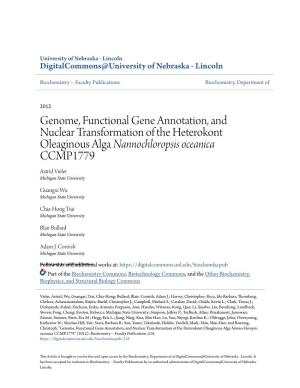 Genome, Functional Gene Annotation, and Nuclear
