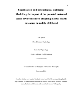 Socialisation and Psychological Wellbeing: Modelling the Impact of the Prenatal Maternal Social Environment on Offspring Mental Health