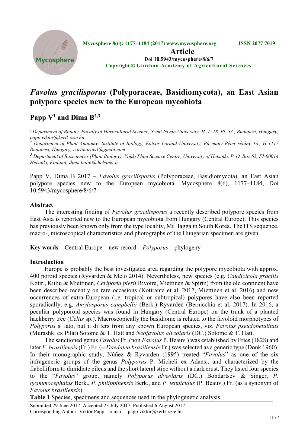 Favolus Gracilisporus (Polyporaceae, Basidiomycota), an East Asian Polypore Species New to the European Mycobiota