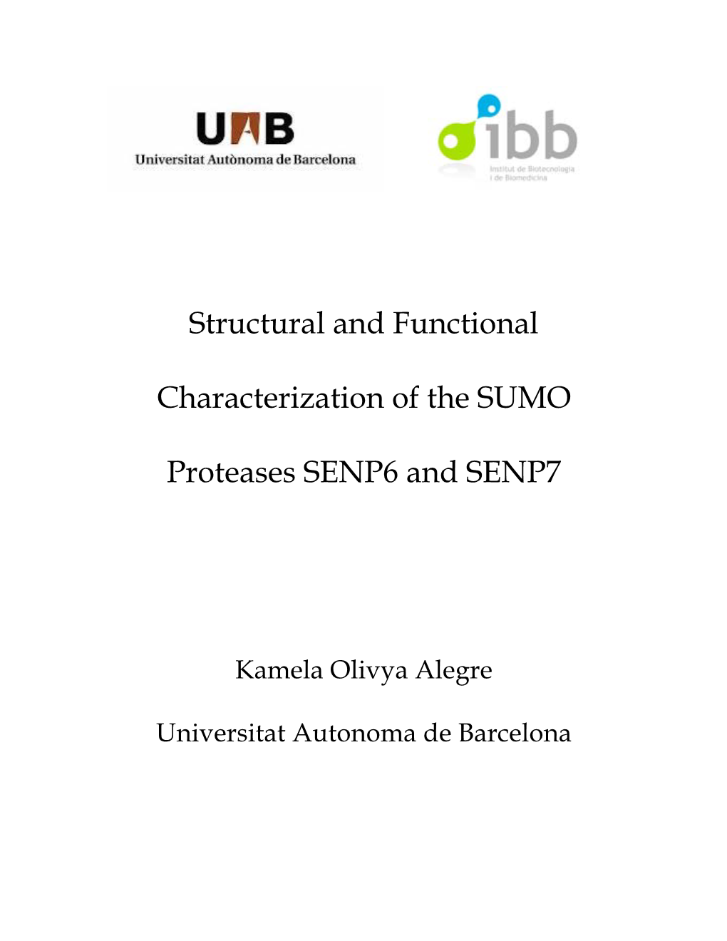 Structural and Functional Characterization of the SUMO