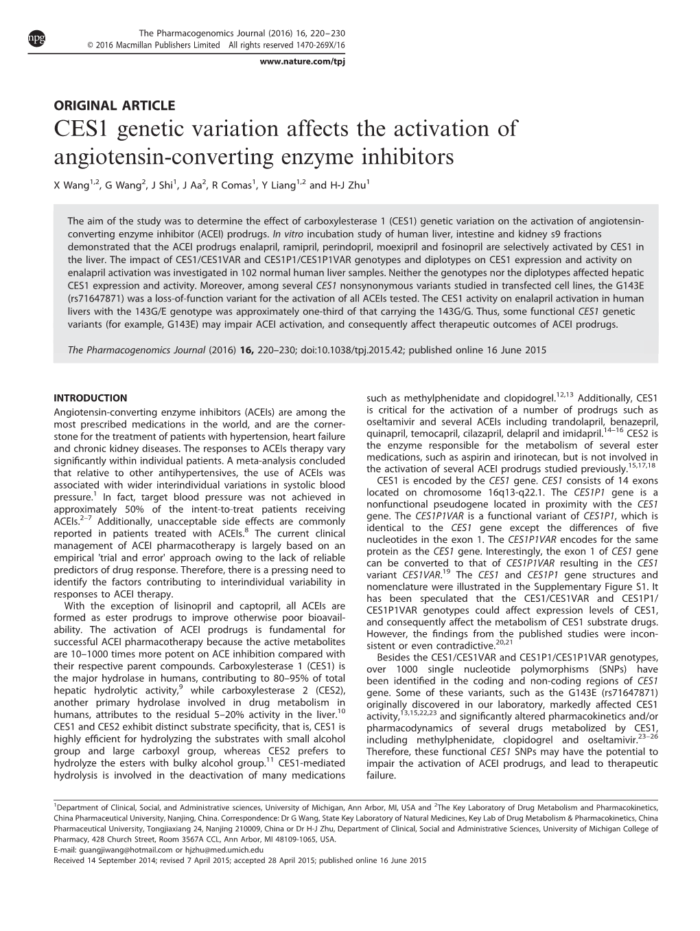 CES1 Genetic Variation Affects the Activation of Angiotensin-Converting Enzyme Inhibitors