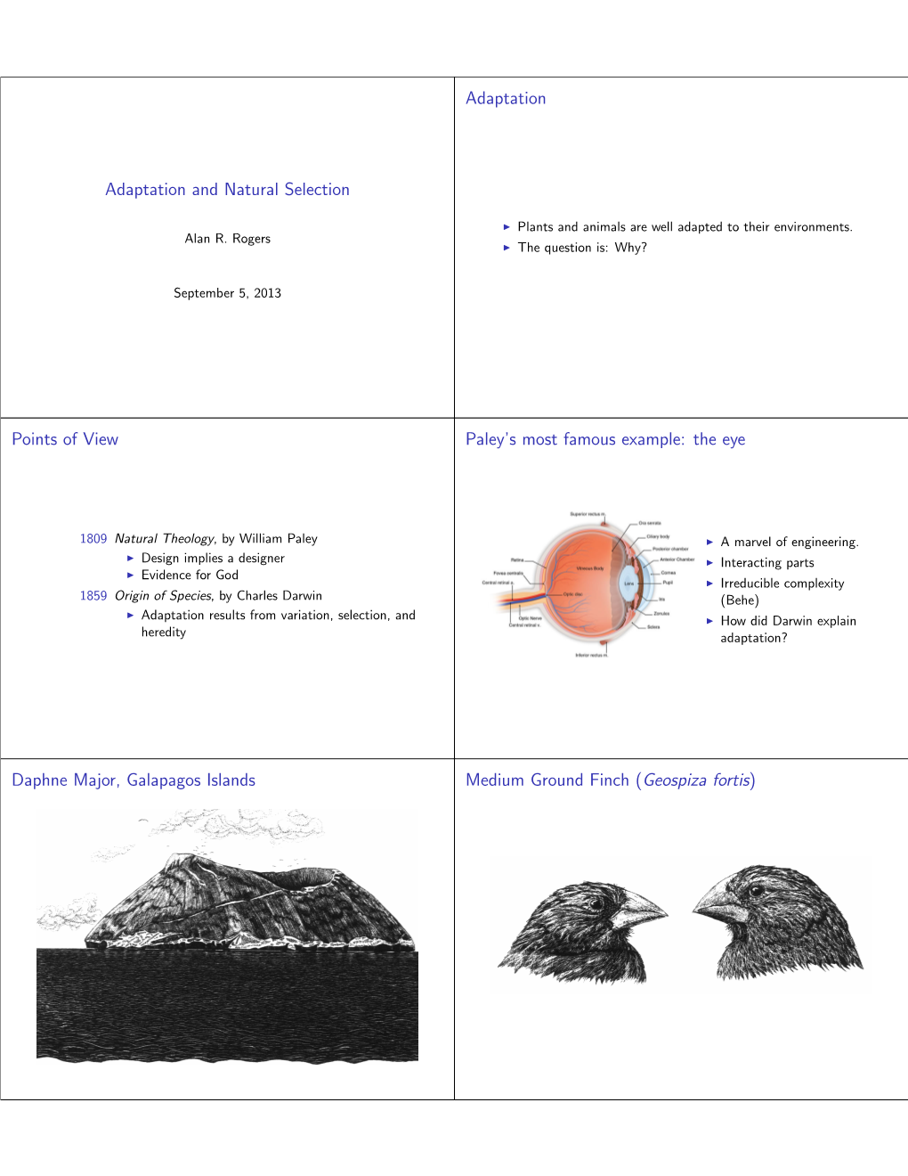 Adaptation and Natural Selection Adaptation Points of View Paley's