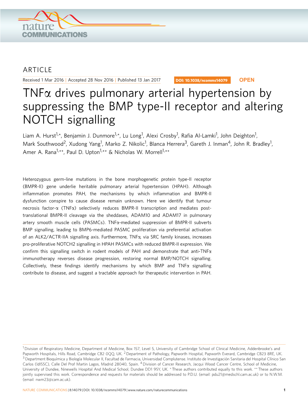 Drives Pulmonary Arterial Hypertension by Suppressing the BMP Type-II Receptor and Altering NOTCH Signalling