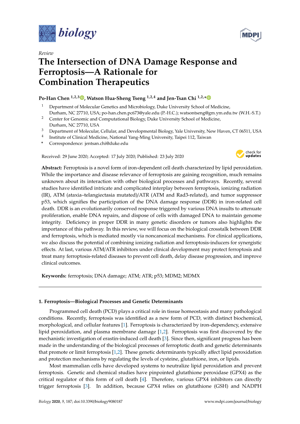 The Intersection of DNA Damage Response and Ferroptosis—A Rationale for Combination Therapeutics