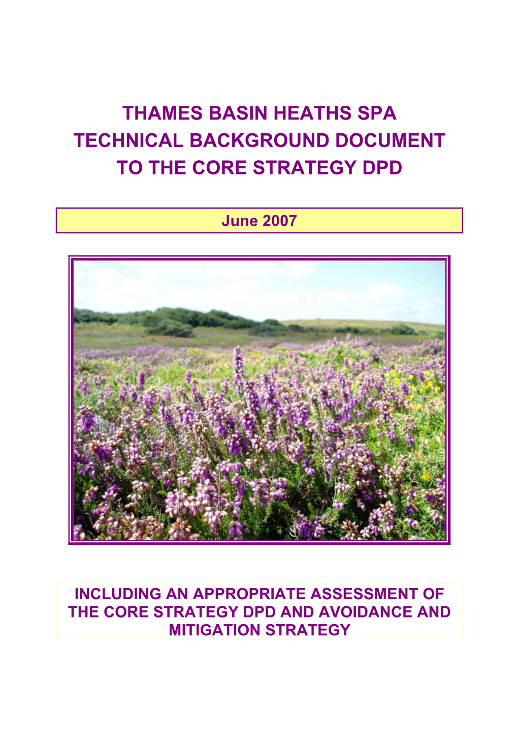 Thames Basin Heaths Spa Technical Background Document to the Core Strategy Dpd