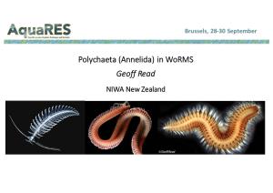 In Worms Geoff Read NIWA New Zealand