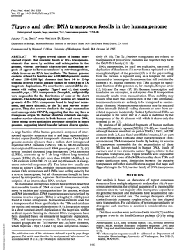 Tiggers and Other DNA Transposon Fossils in the Human Genome (Interspersed Repeats/Pogo/Mariner/Tcl/Centromere Protein CENP-B) ARIAN F