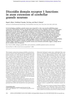 Discoidin Domain Receptor 1 Functions in Axon Extension of Cerebellar Granule Neurons