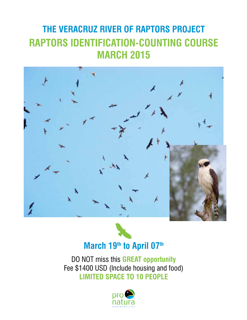 Raptors Identification-Counting Course March 2015
