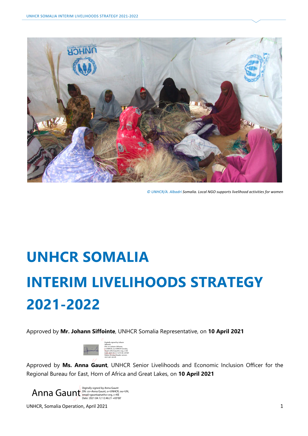 Somalia Interim Livelihoods Strategy 2021-2022