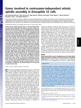 Genes Involved in Centrosome-Independent Mitotic Spindle Assembly in Drosophila S2 Cells