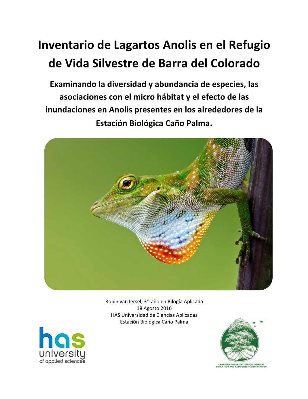 Inventario De Lagartos Anolis En El Refugio De Vida Silvestre De Barra Del Colorado