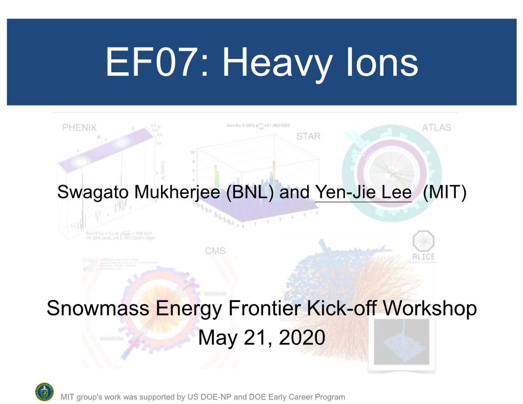 EF07: Heavy Ions