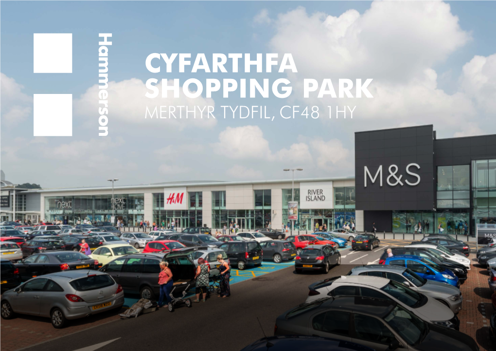 Cyfarthfa Shopping Park Merthyr Tydfil, Cf48 1Hy Overview