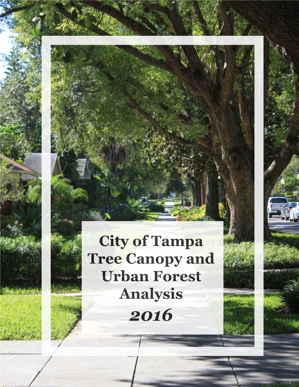 City of Tampa Tree Canopy and Urban Forest Analysis 2016