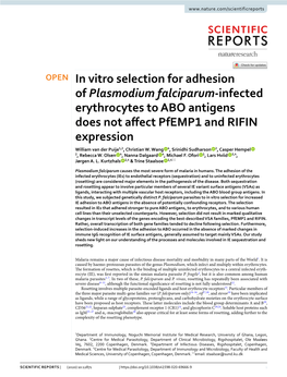 In Vitro Selection for Adhesion of Plasmodium Falciparum-Infected Erythrocytes to ABO Antigens Does Not Affect Pfemp1 and RIFIN