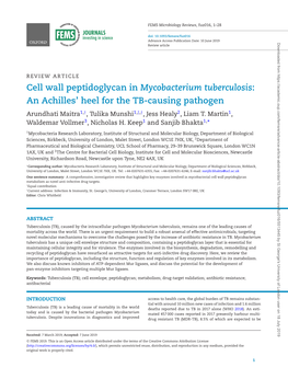 Cell Wall Peptidoglycan in Mycobacterium Tuberculosis