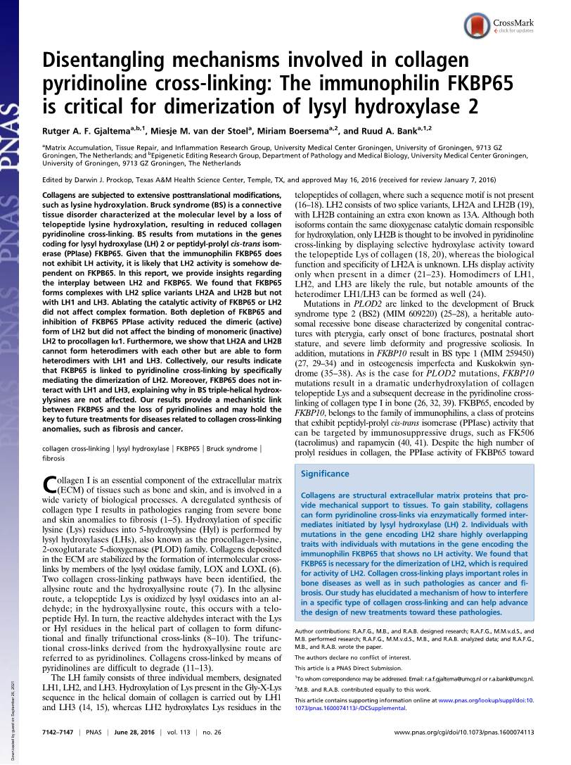 Disentangling Mechanisms Involved in Collagen Pyridinoline Cross-Linking: the Immunophilin FKBP65 Is Critical for Dimerization of Lysyl Hydroxylase 2