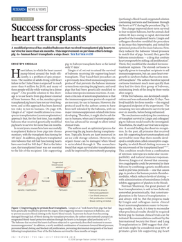 Success for Cross-Species Heart Transplants