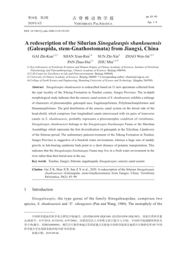 A Redescription of the Silurian Sinogaleaspis Shankouensis
