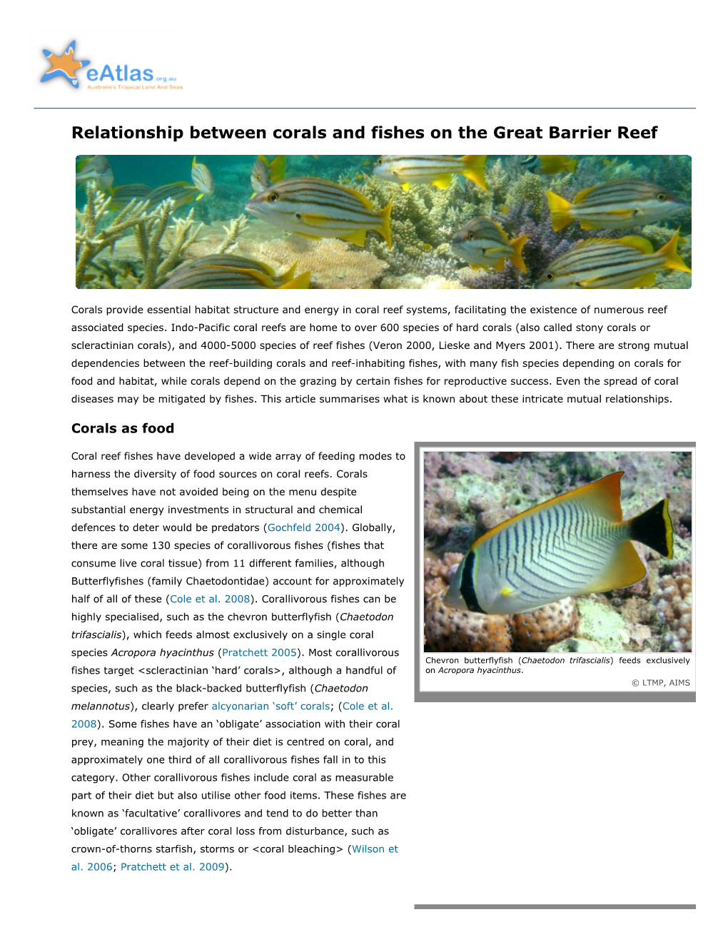 Relationship Between Corals and Fishes on the Great Barrier Reef