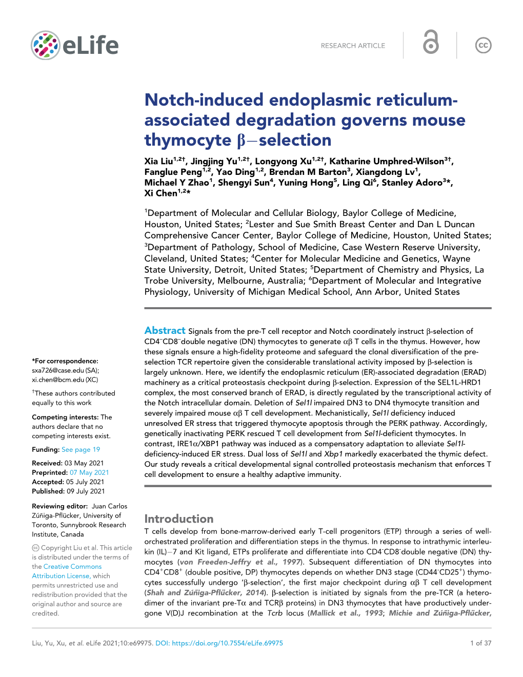 Notch-Induced Endoplasmic Reticulum