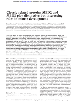 Closely Related Proteins MBD2 and MBD3 Play Distinctive but Interacting Roles in Mouse Development