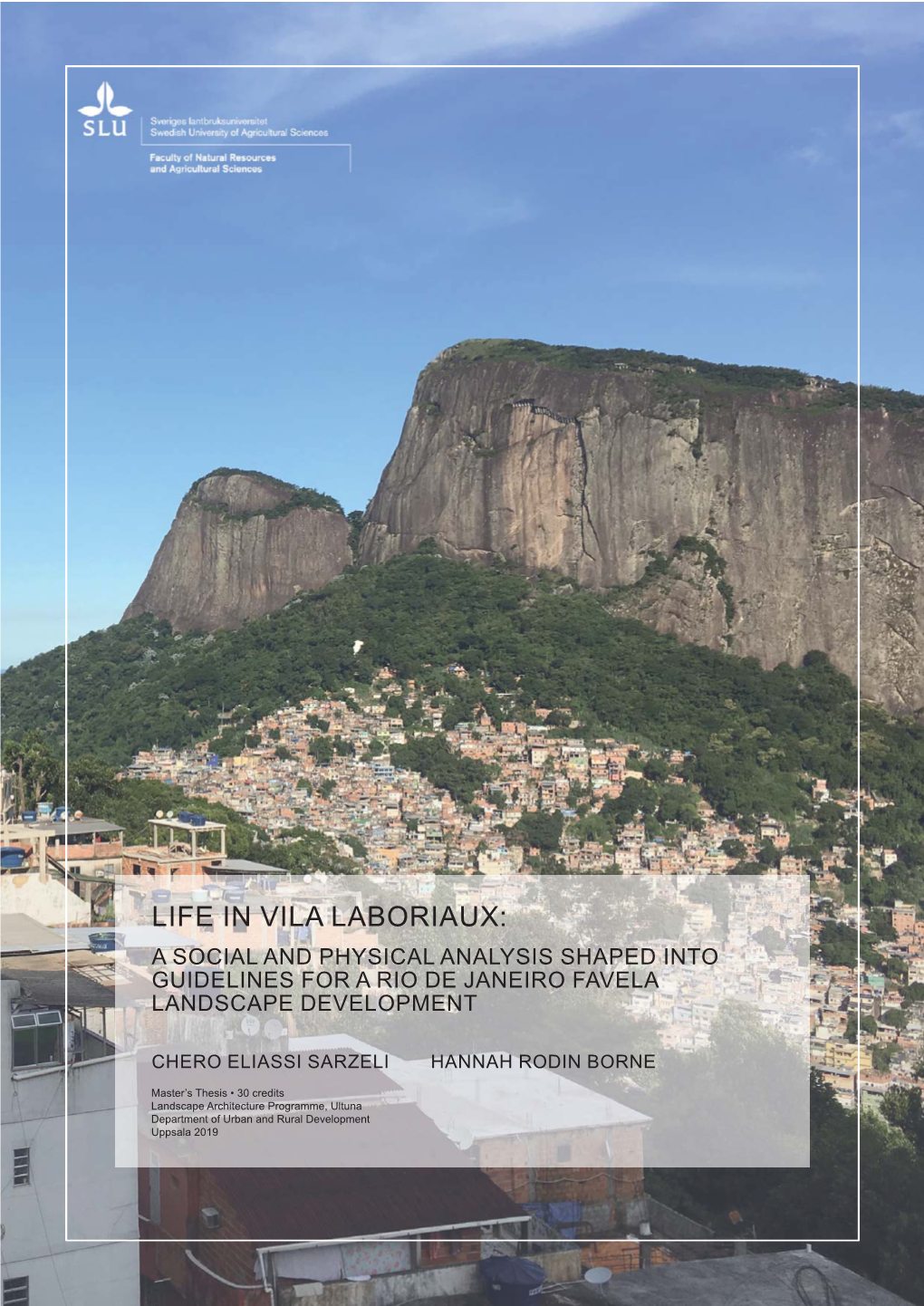 Life in Vila Laboriaux: a Social and Physical Analysis Shaped Into Guidelines for a Rio De Janeiro Favela Landscape Development