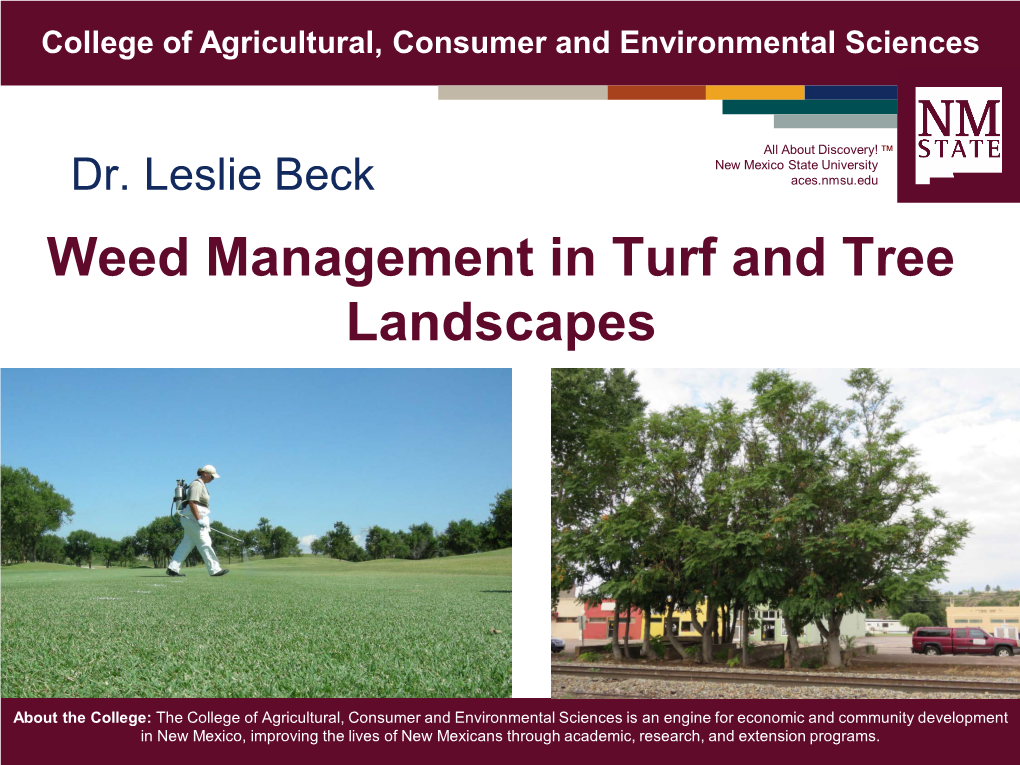 Weed Management in Turf and Tree Landscapes