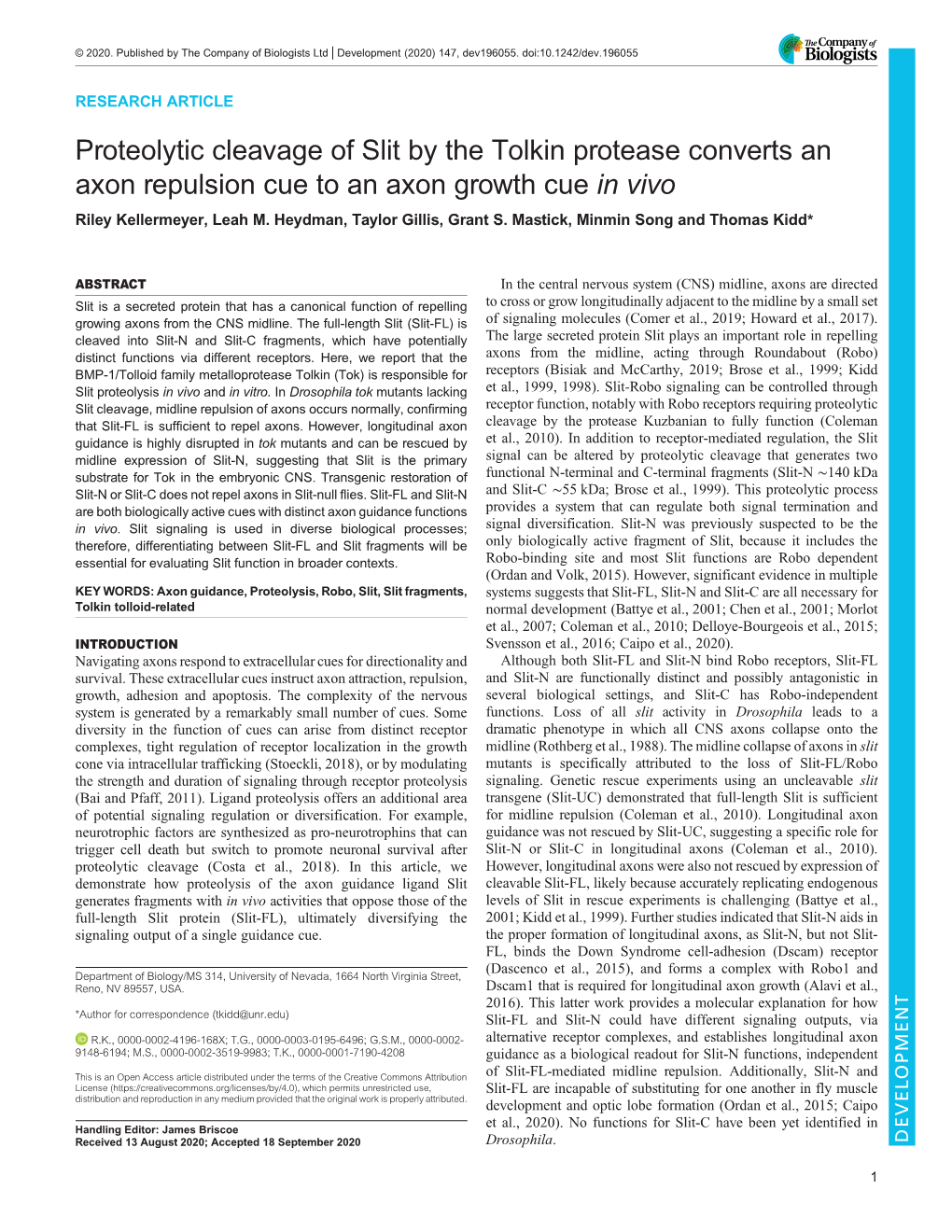 Proteolytic Cleavage of Slit by the Tolkin Protease Converts an Axon Repulsion Cue to an Axon Growth Cue in Vivo Riley Kellermeyer, Leah M