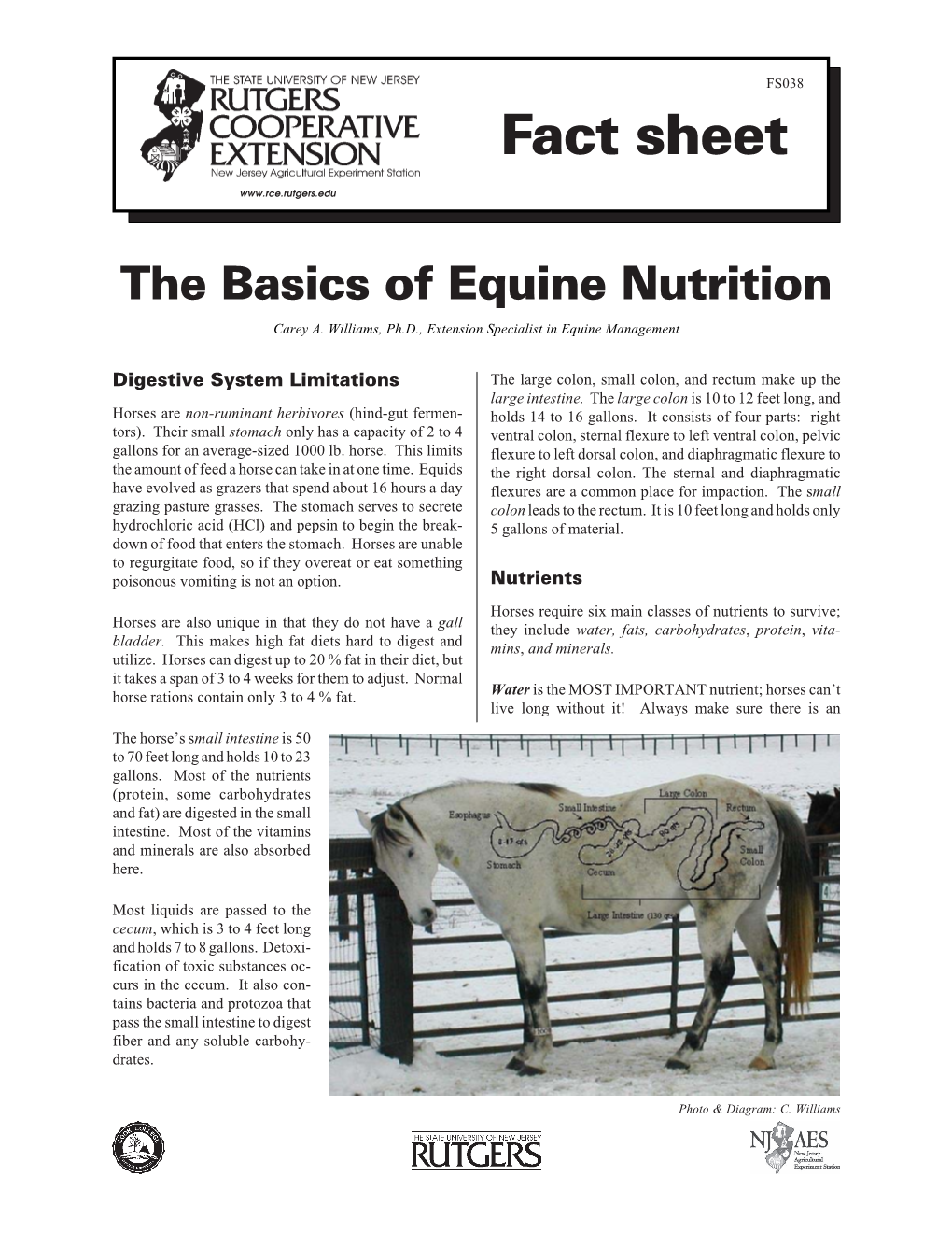 The Basics of Equine Nutrition Carey A