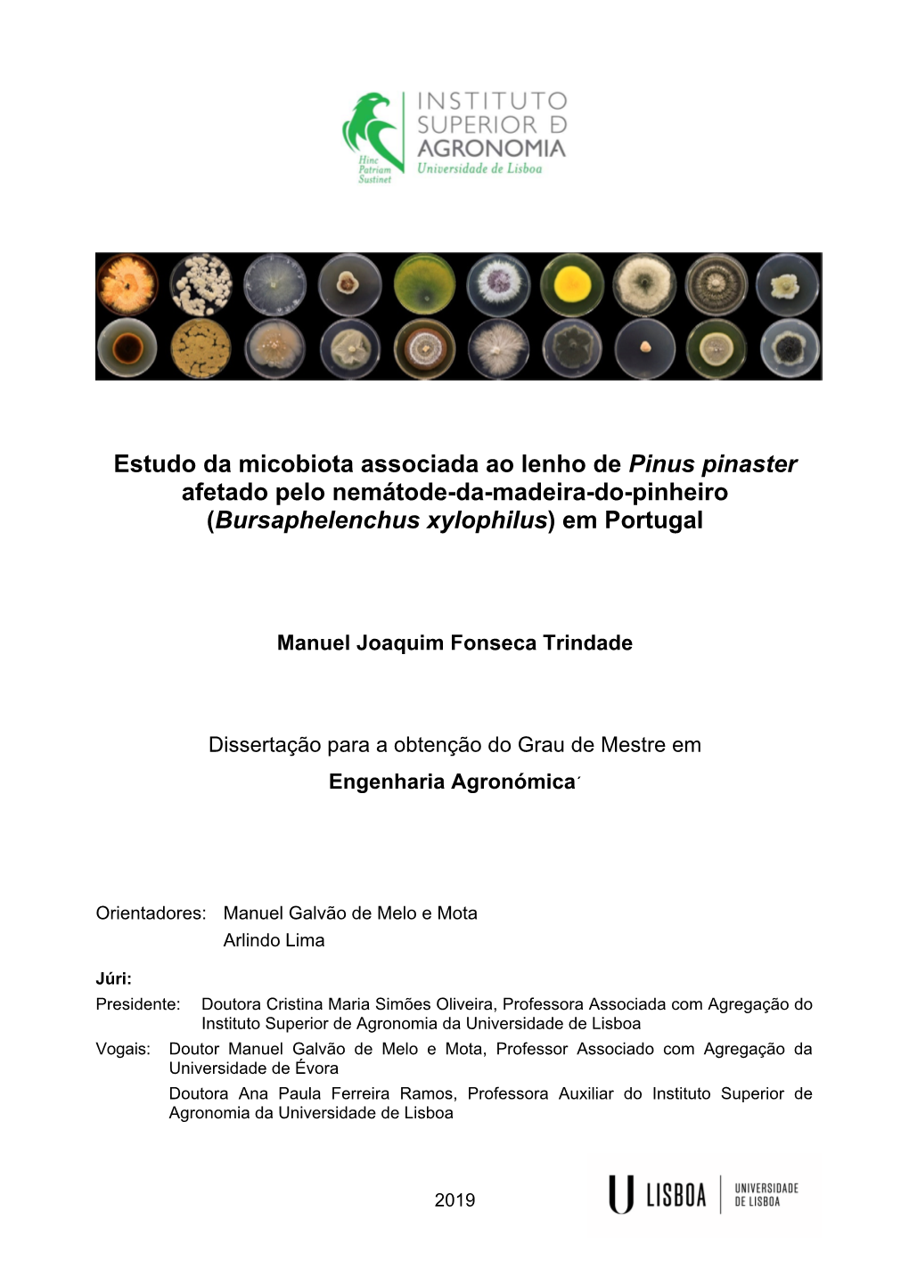 Estudo Da Micobiota Associada Ao Lenho De Pinus Pinaster Afetado Pelo Nemátode-Da-Madeira-Do-Pinheiro (Bursaphelenchus Xylophilus) Em Portugal